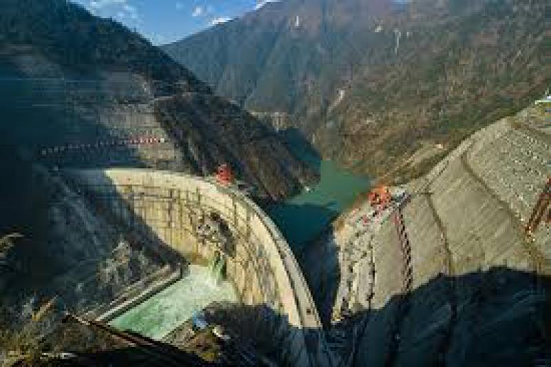 促進水電建設與環境保護：大渡河流域珍稀魚類增殖放流活動在大崗山水電站庫區舉行