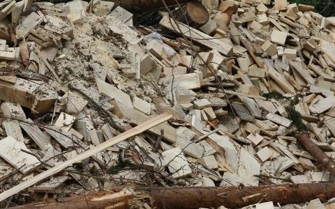 克羅地亞建造兩個(gè)生物質(zhì)燃料熱電聯(lián)產(chǎn)工廠