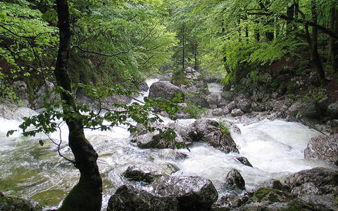 斯洛文尼亞支付6,940萬歐元建設可再生能源