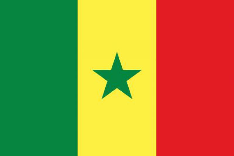 塞內(nèi)加爾能源政策及發(fā)展戰(zhàn)略