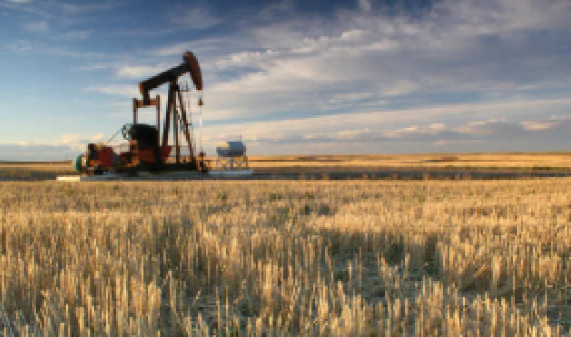 印度原油產(chǎn)量下降4.19％，推動9月份進(jìn)口依賴度達(dá)到83.7％