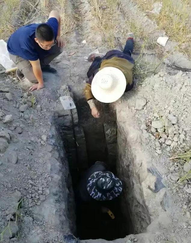 重大突破！新疆發現近千公里“硒腰帶”