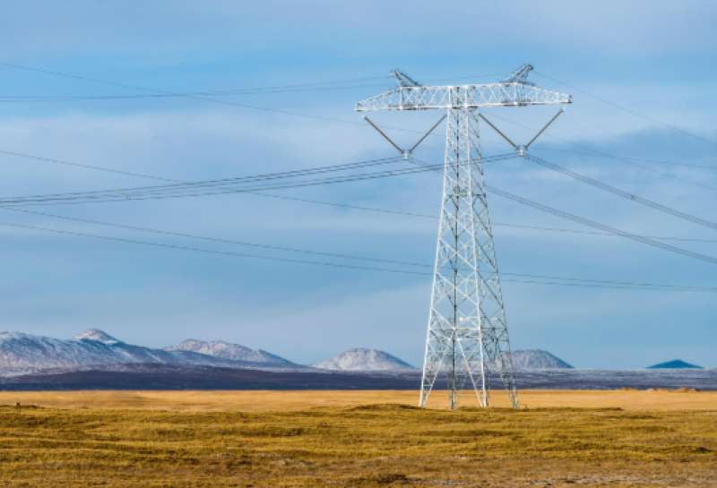 國家電網(wǎng)巴西東北部特高壓直流輸電項(xiàng)目受端換流站開工