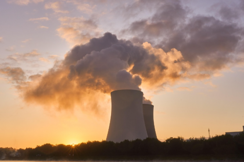 法國(guó)最大核電站因大量水母入侵導(dǎo)致停運(yùn)